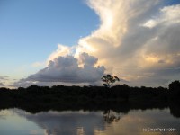 Pantanal - River trip11