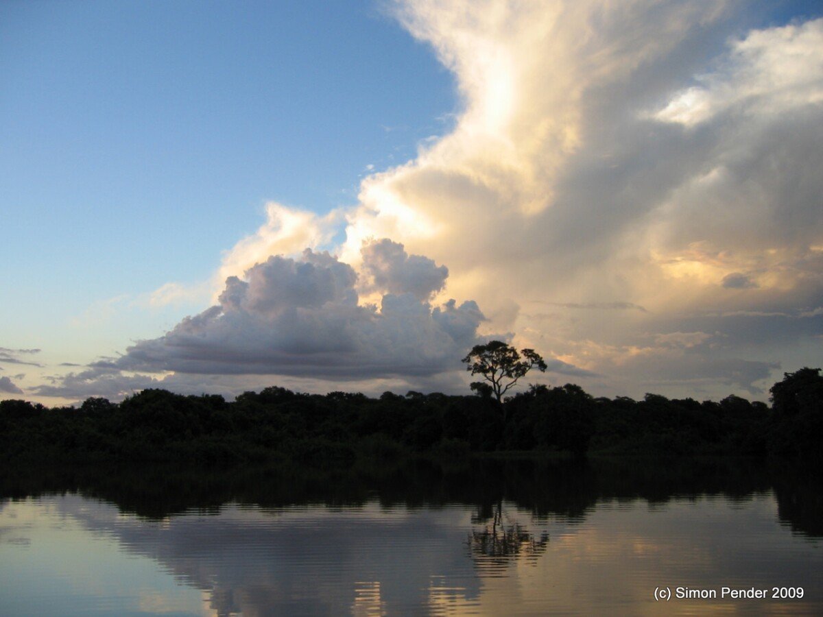 Pantanal - River trip11 