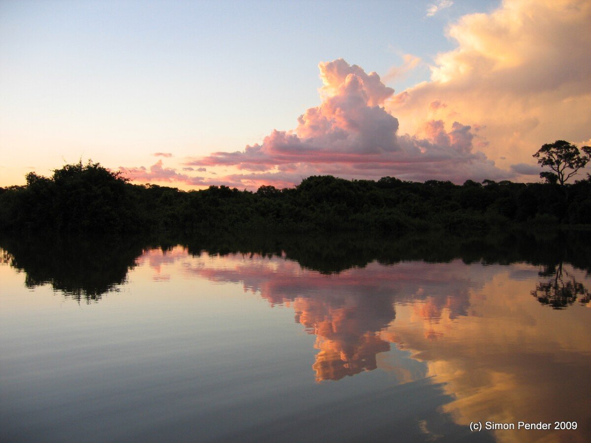 Pantanal - River trip13 