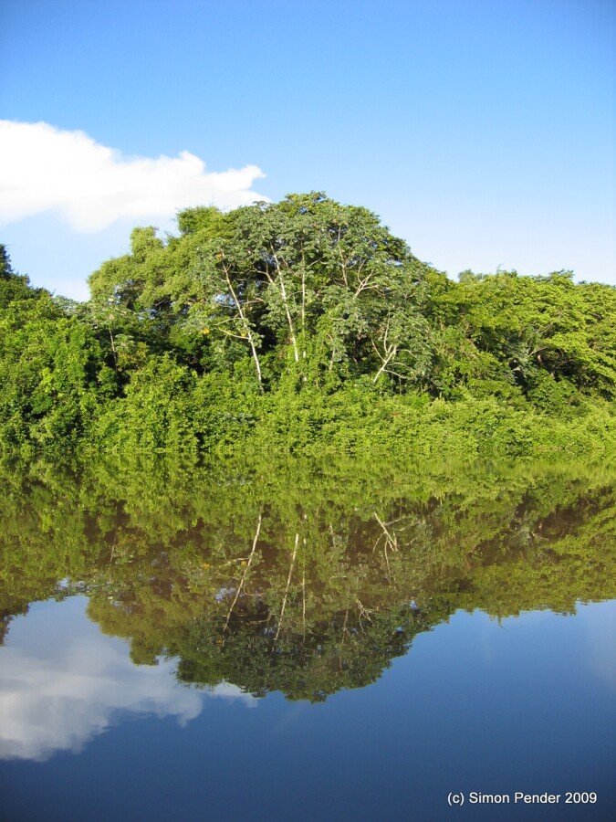 Pantanal - River trip2 