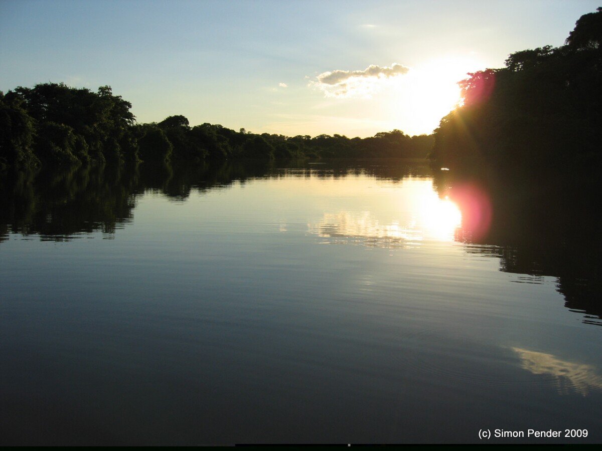 Pantanal - River trip7 