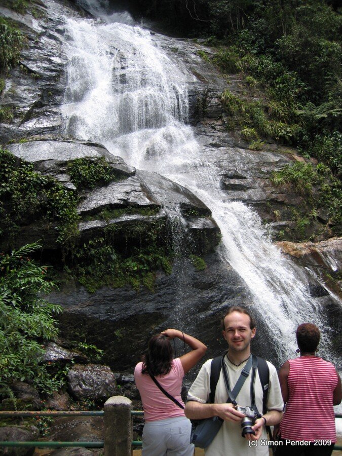 Rio - City forest1 