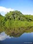 Pantanal - River trip2