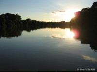 Pantanal - River trip7