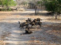 IMG_0109