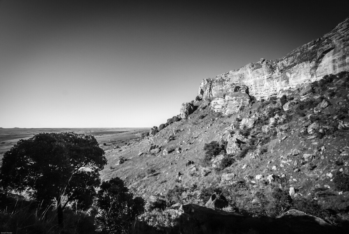 DSC_0101-2 