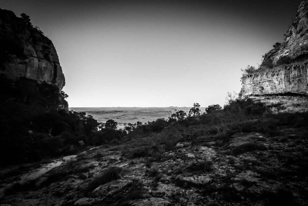 DSC_0103-2 