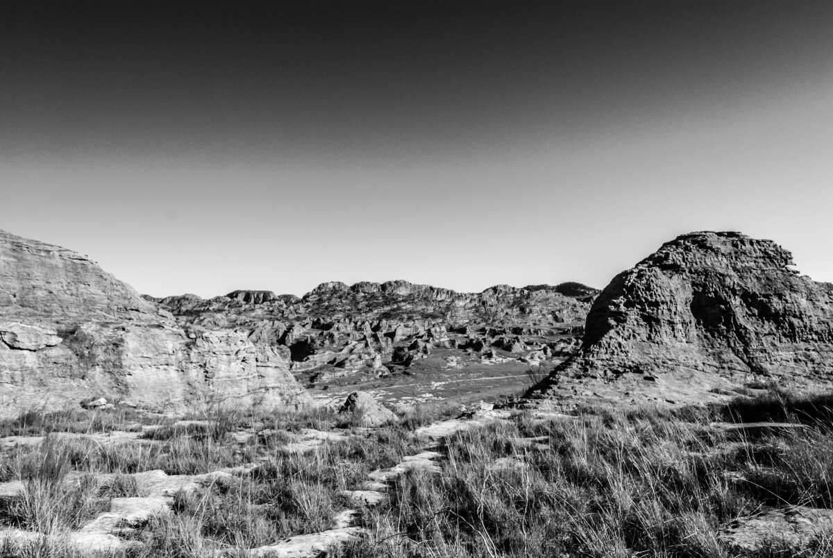 DSC_0115-2 