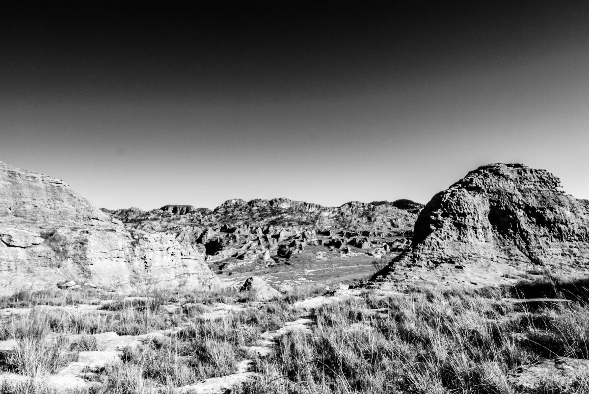 DSC_0115-3 