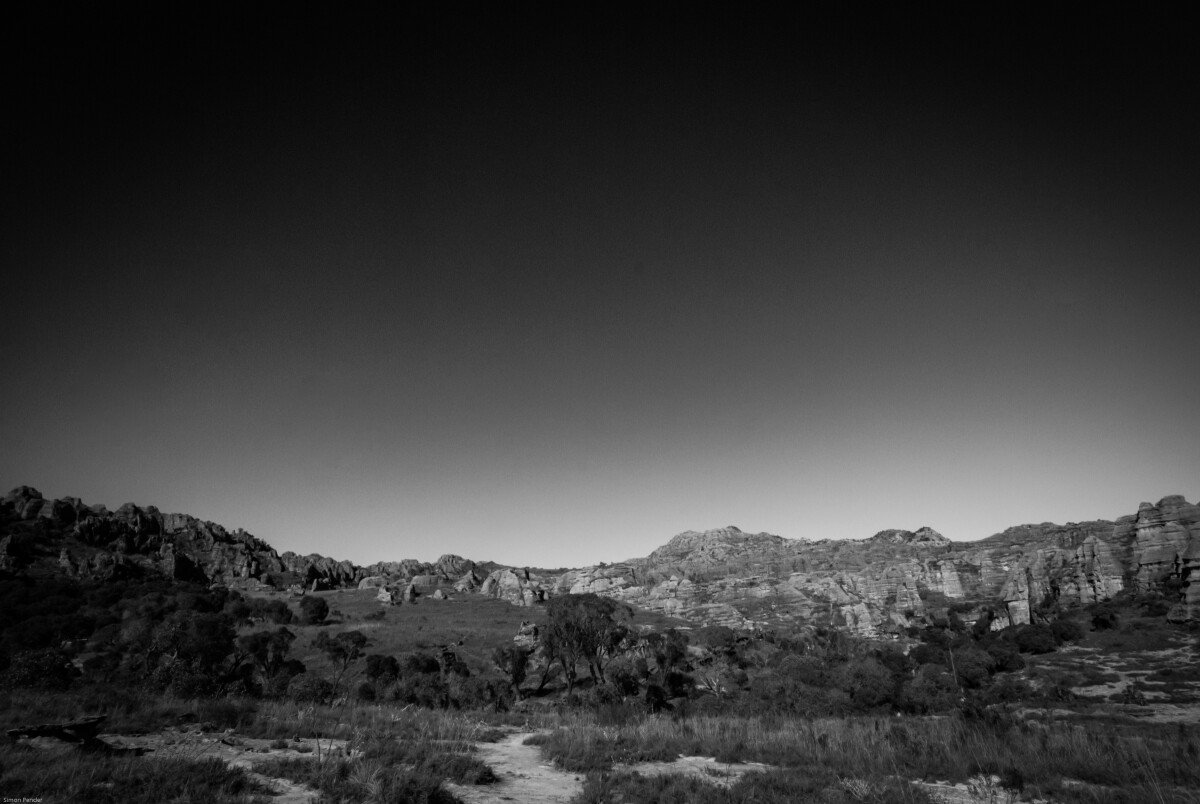 DSC_0167-2 