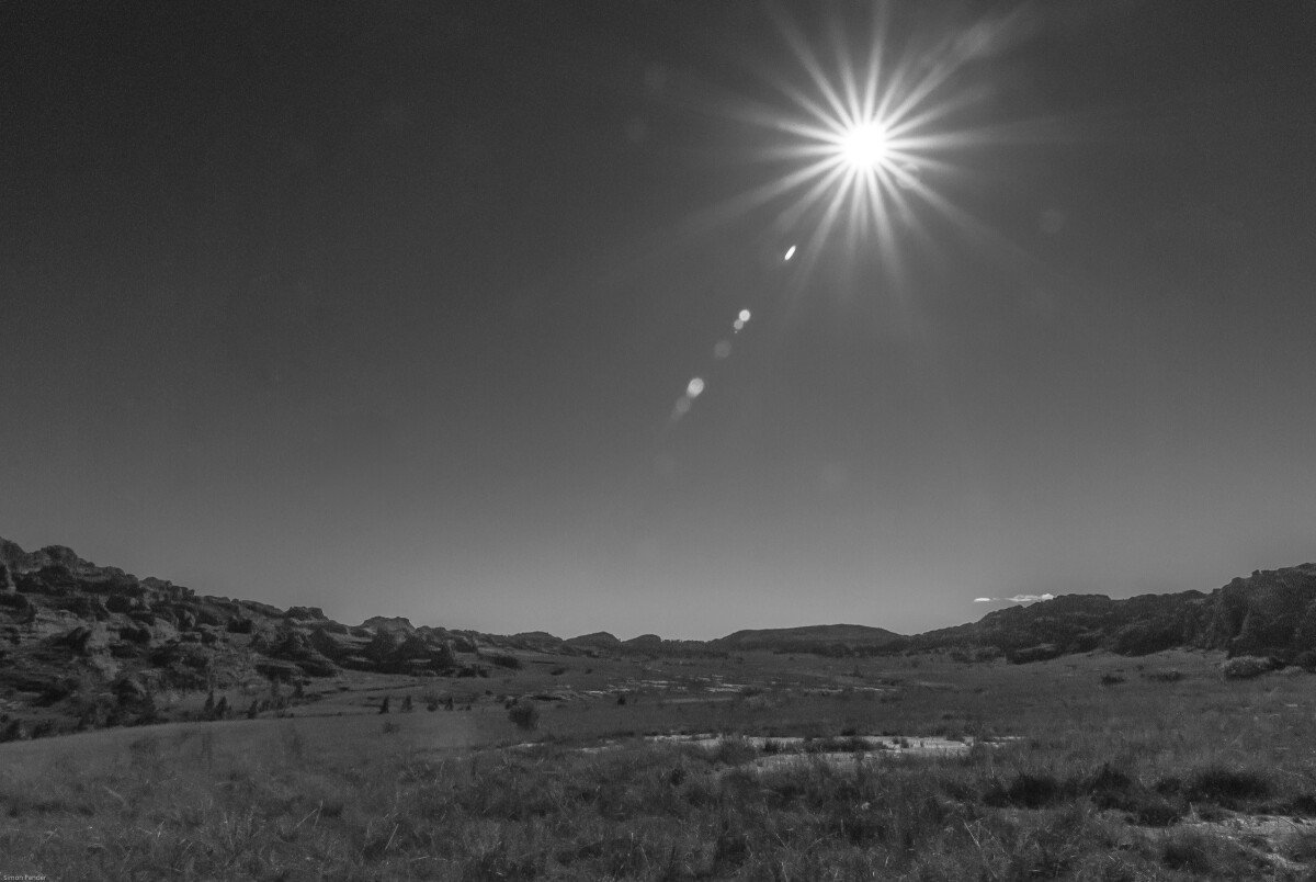 DSC_0171-2 