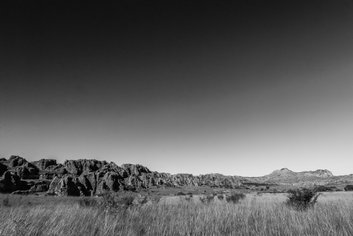 DSC_0178 