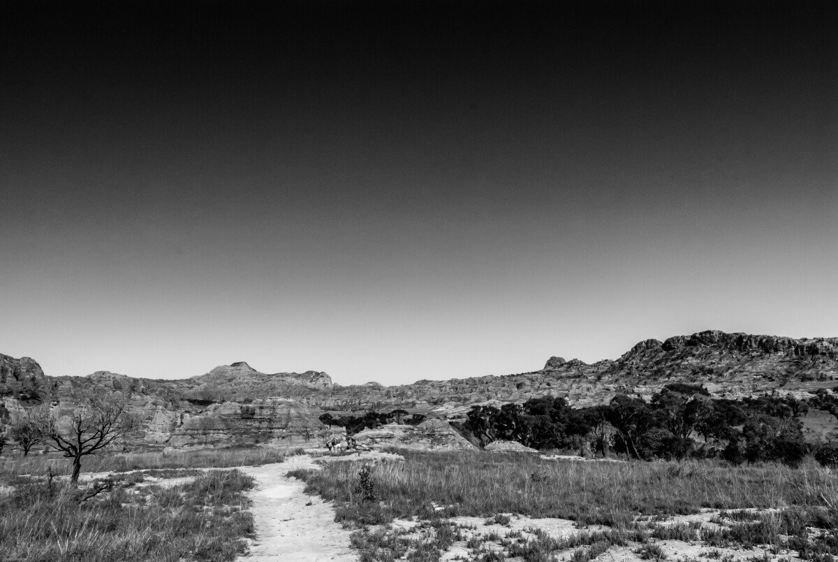 DSC_0186 