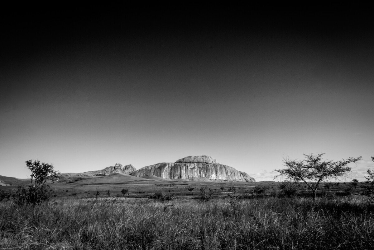 DSC_0208 