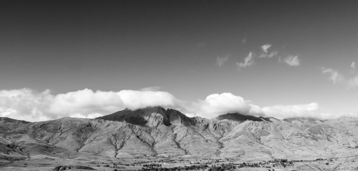 DSC_0210-2 