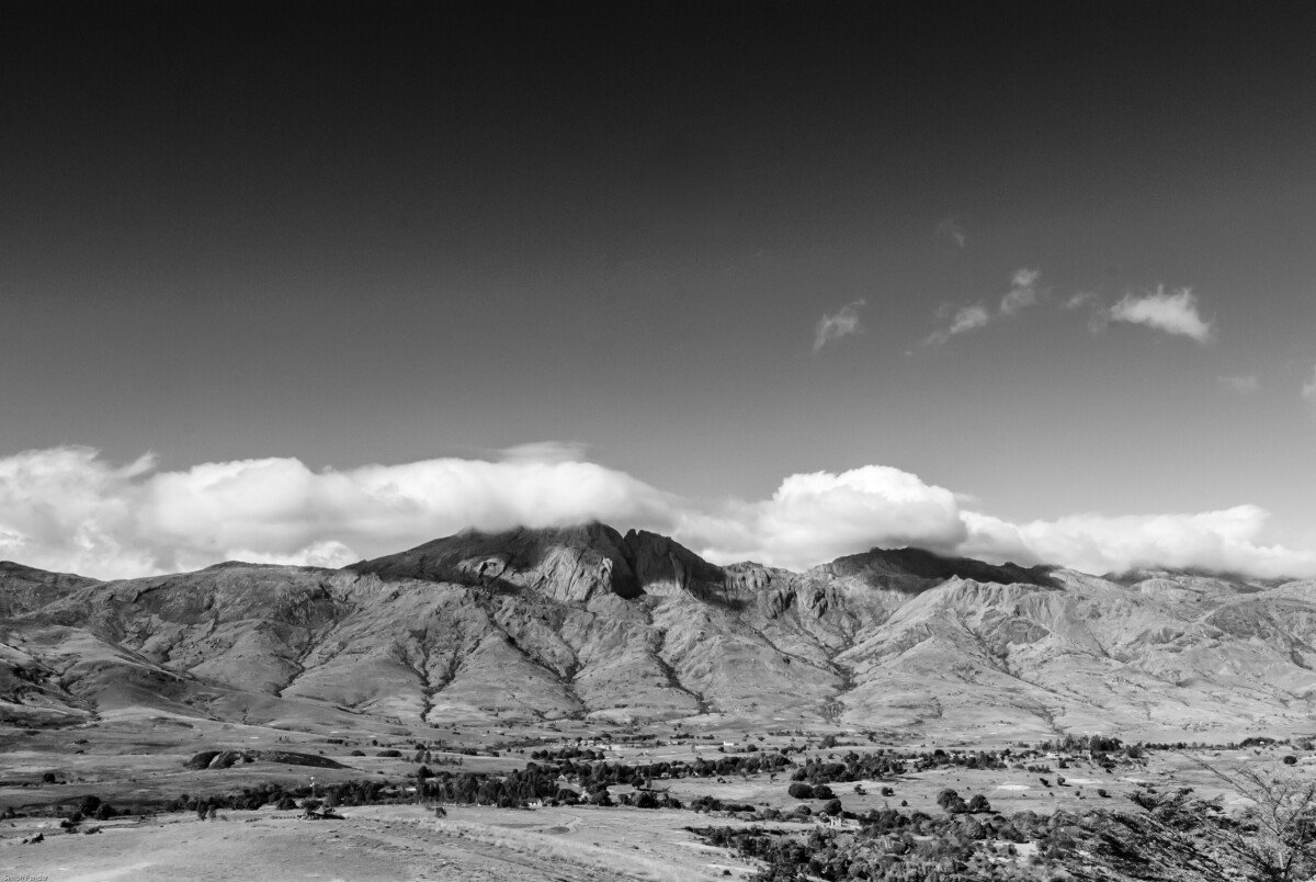DSC_0211-2 