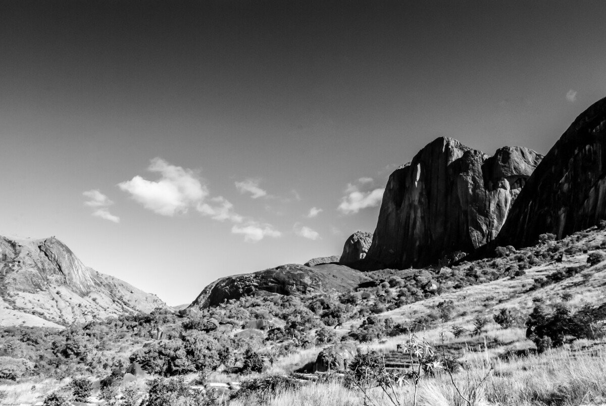 DSC_0214-2 
