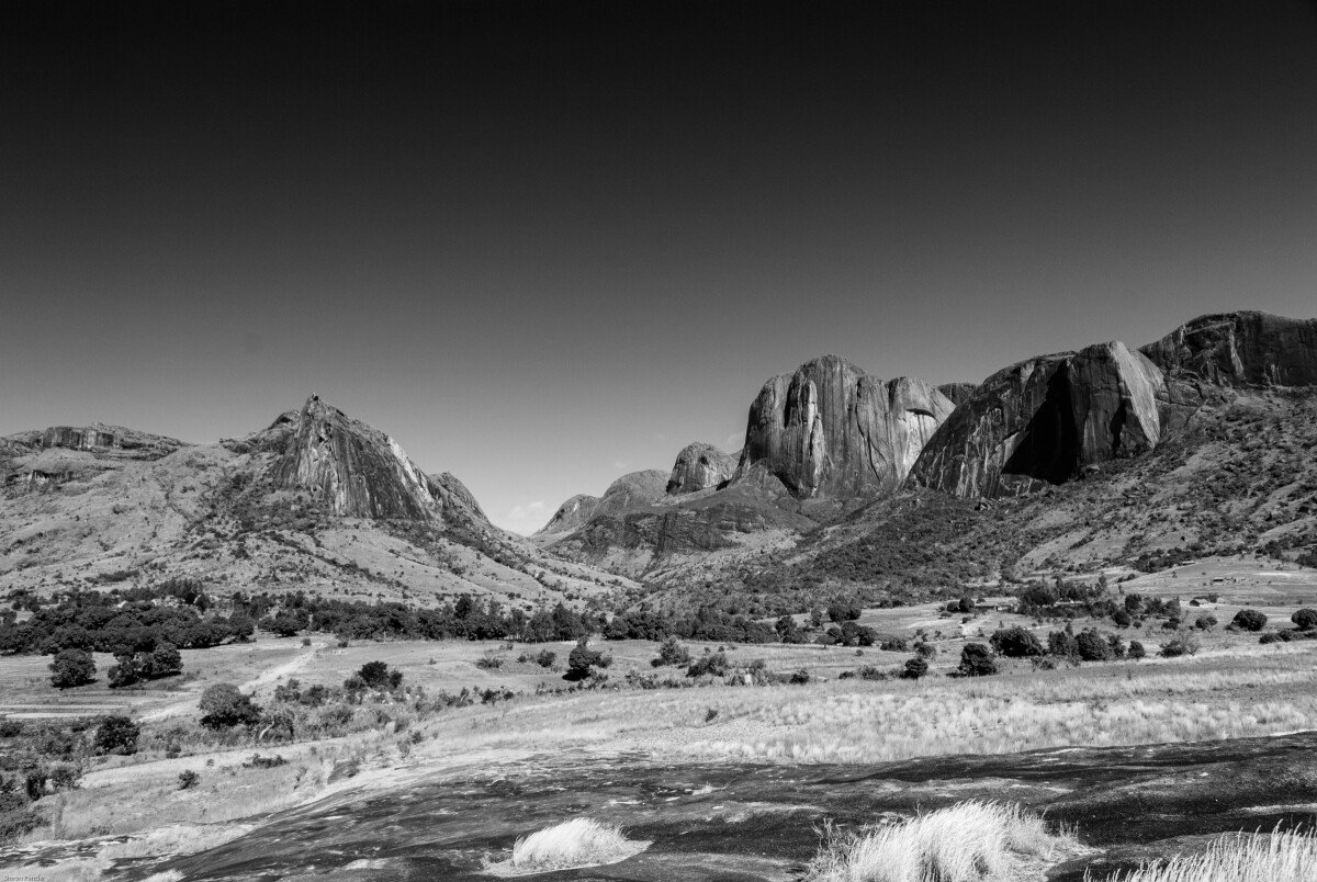 DSC_0250-2 