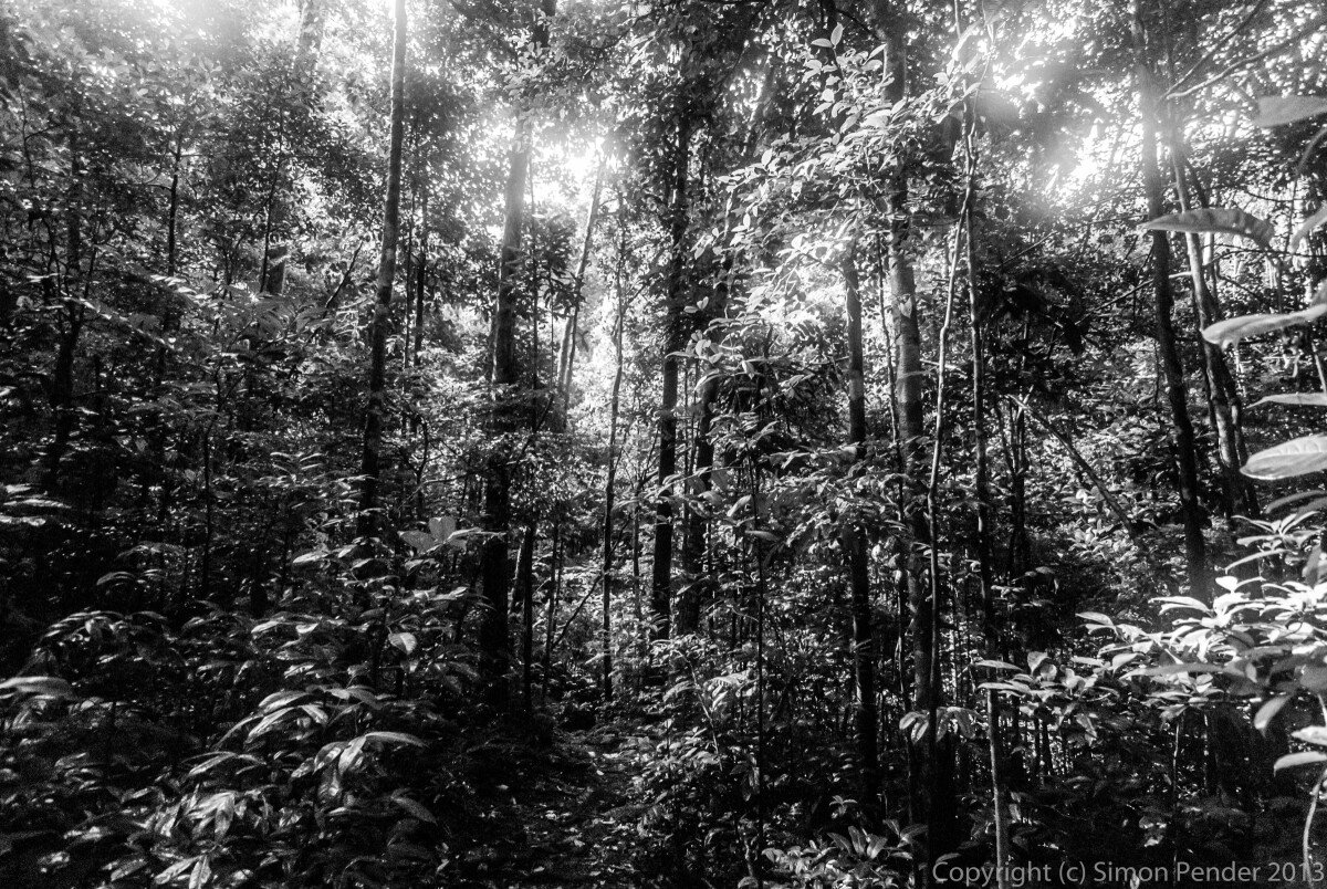 DSC_0349-2 