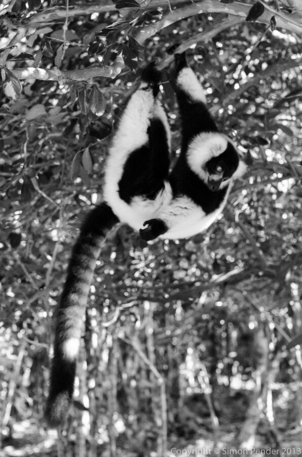 DXC_7142 