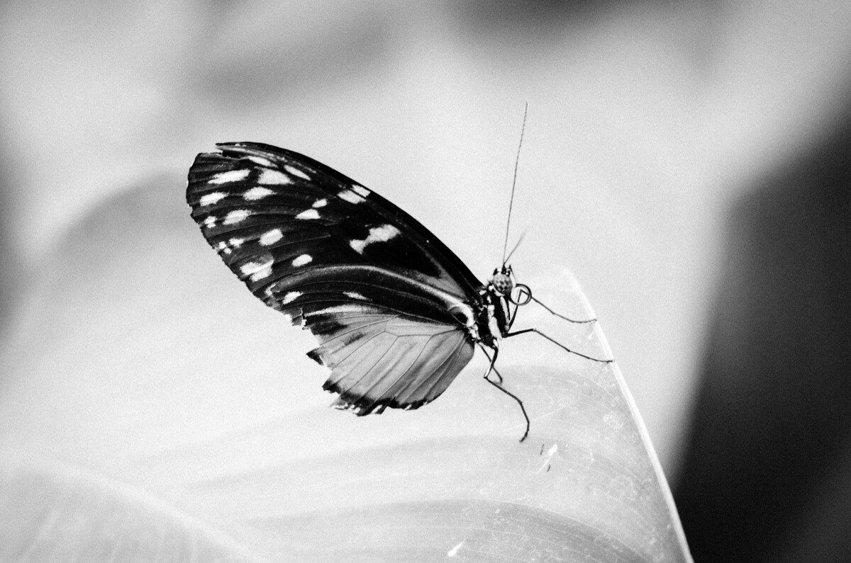 DXC_5025 