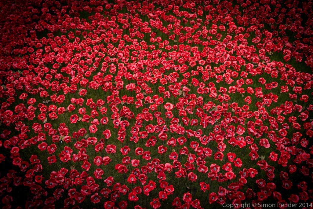 20141101-_SPA0320 