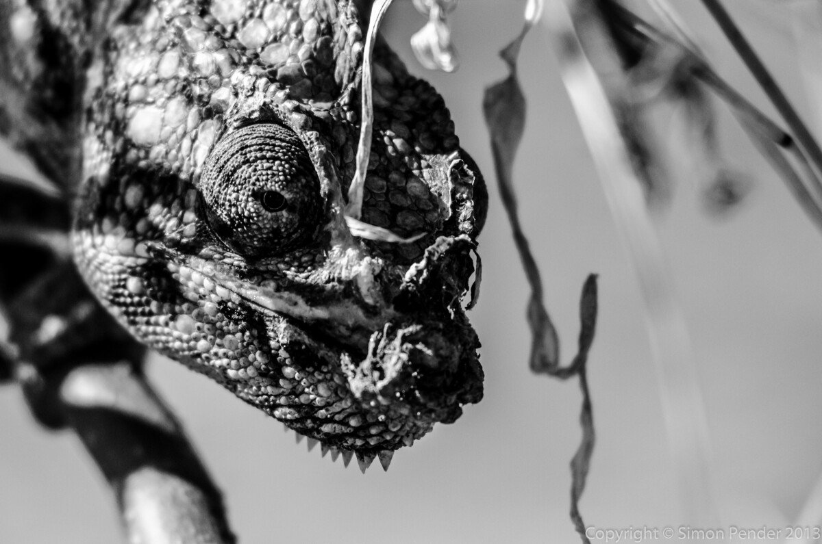 DXC_6487-2 