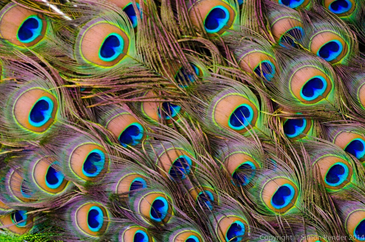DYC_0457 