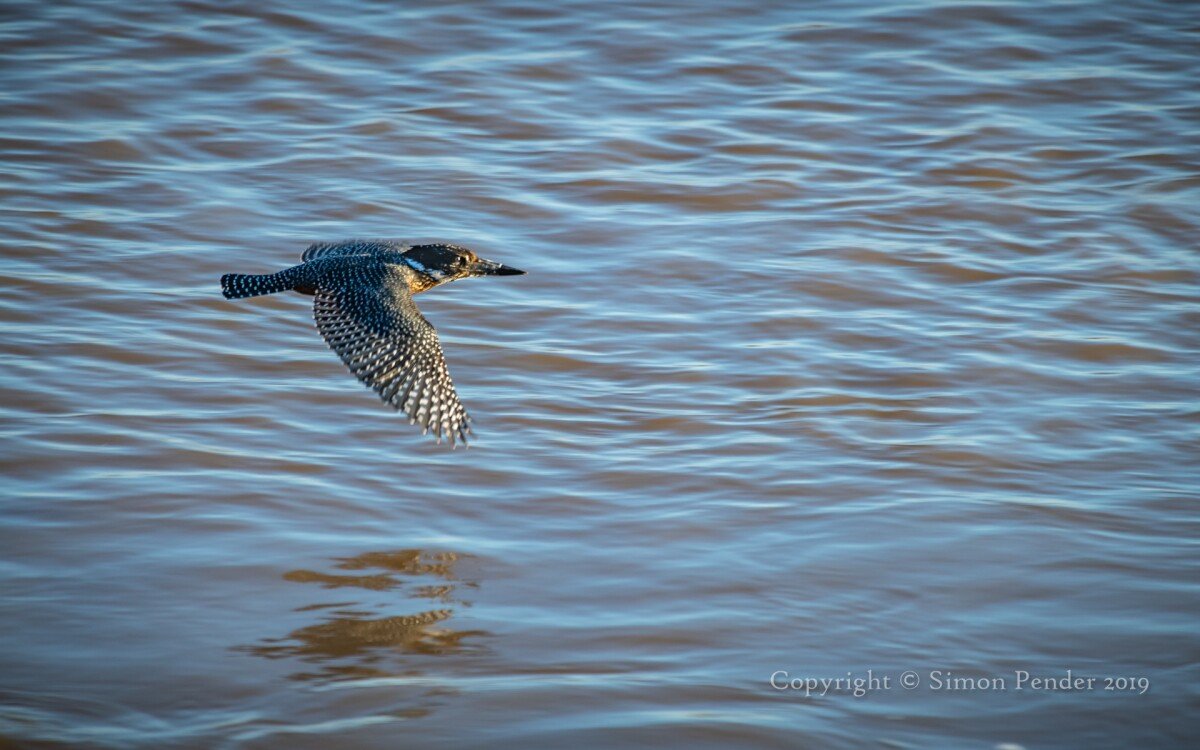 _DSC2399 