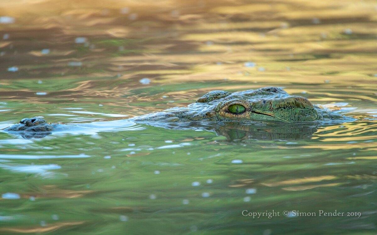 _DSC3638 