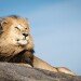 WAITING FOR THE SUN by Simon Pender