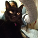 IMG-20190907-WA0005