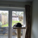 IMG-20210316-WA0000