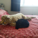 IMG-20210518-WA0000