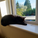 IMG-20210601-WA0001