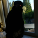 IMG-20210601-WA0002