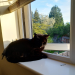 IMG-20210601-WA0003