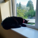 IMG-20210601-WA0004