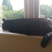 IMG-20210622-WA0000