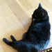 IMG-20220613-WA0000