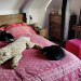 IMG-20230302-WA0001