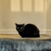 IMG-20241221-WA0000