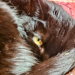 IMG-20241222-WA0000