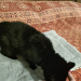 IMG-20241224-WA0000