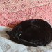 IMG-20250429-WA0007