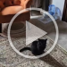VID-20250620-WA0007