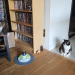 IMG-20250425-WA0001