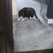 IMG-20250425-WA0006