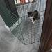 IMG-20250425-WA0007