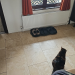 IMG-20250426-WA0020